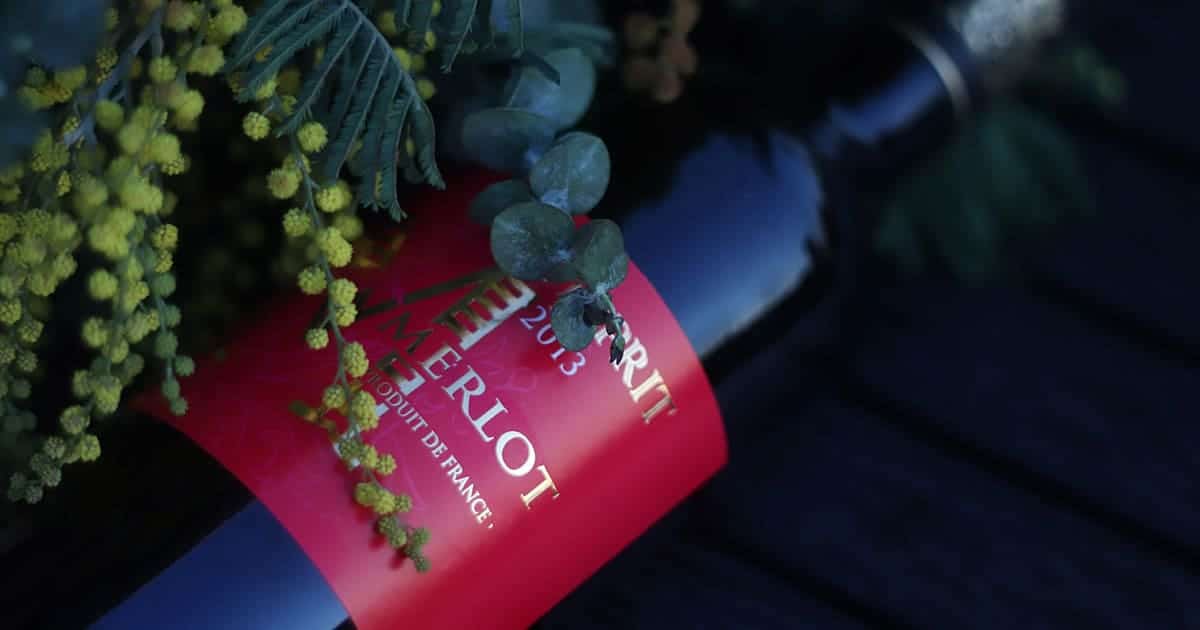 A bottle of merlot partially covered by some leaves.