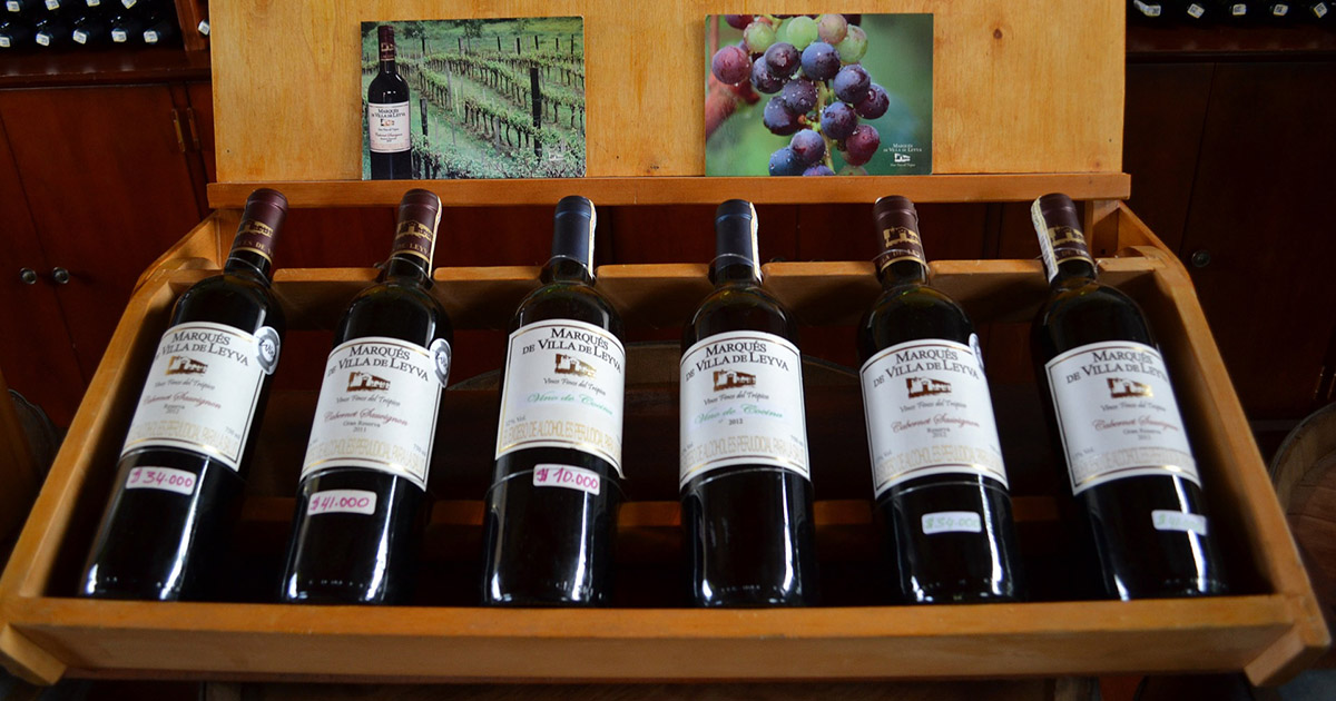 Six bottles of red wine lined up on a rack with some vineyard photos in the background.