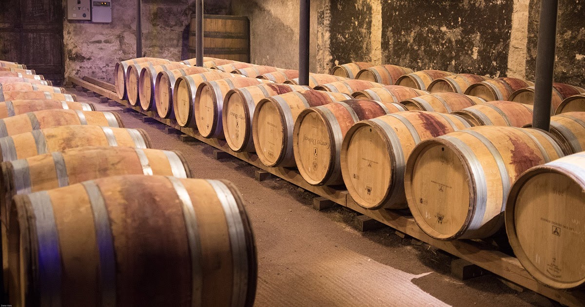 Barrels of Gamay wine in a cellar.
